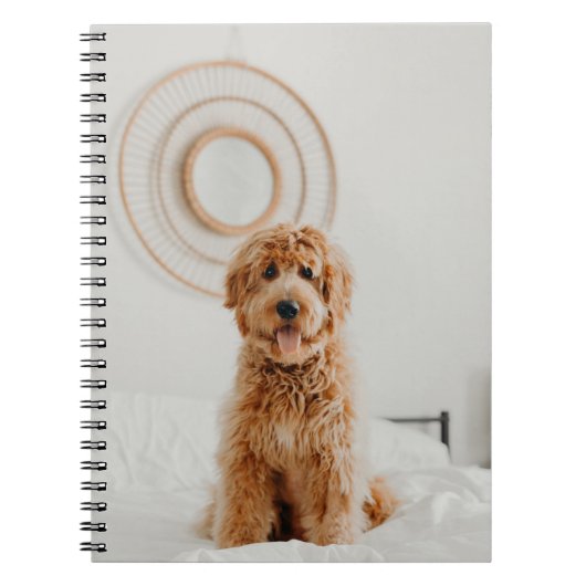 あなただけの写真 画像 ロゴ 自作 DIY イメージ ノートブック (正面)