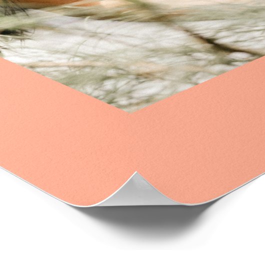 あなたと私の愛が詰まった写真 すべての愛はあなたのすべてに恋をしている  ポスター (角)