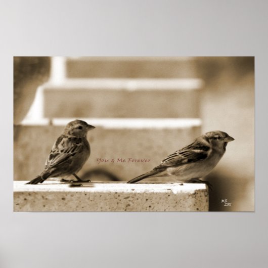 あなたと私は永遠に ポスター (正面)