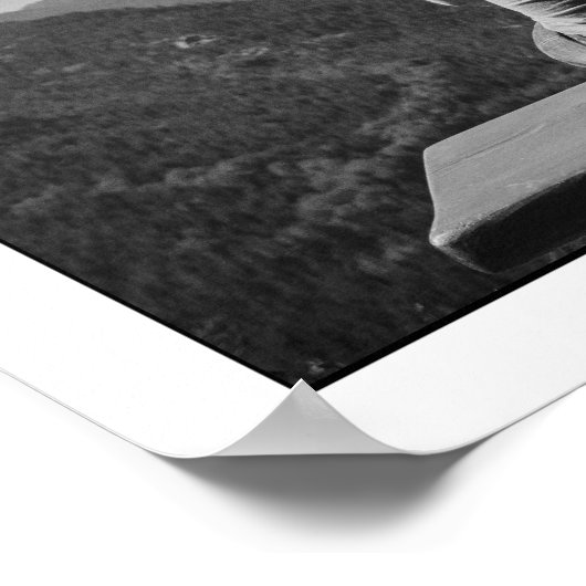 あなたと私　～私たちにはできる　特別なギフト新聞～ ポスター (角)