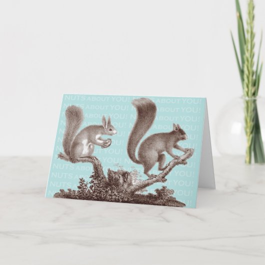 あなたについてのナット-バレンタインデーカード シーズンカード (正面)