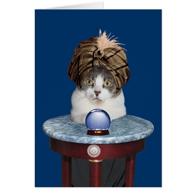 あなたについて考えているおもしろいな霊魂の子猫 (正面)