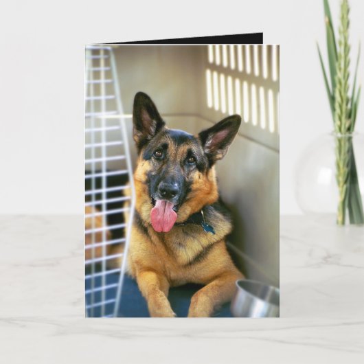 あなたについて考えることは梳きます カード (正面)