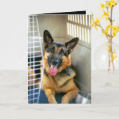 あなたについて考えることは梳きます カード (黄色い花)