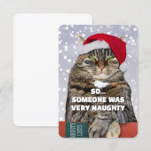 あなたに怒っている猫のクリスマスカード サンキューカード (正面/裏面)