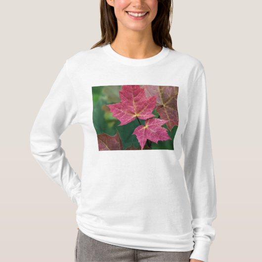あなたに本当のことを Tシャツ (正面)