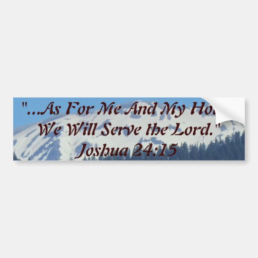 あなたのあなたの車に反射をして下さい! あなたのポイントを得て下さい バンパーステッカー (正面)