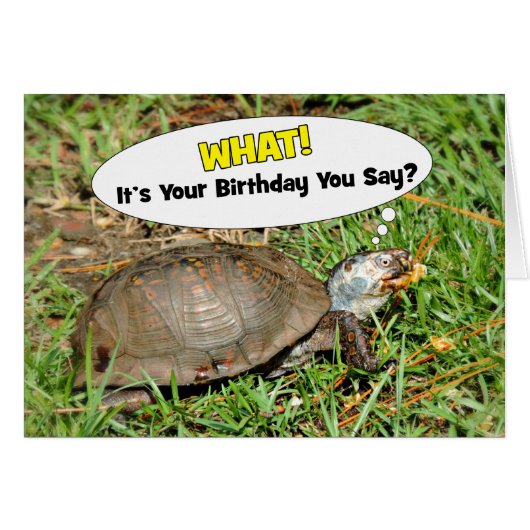 あなたのおもしろい誕生日ボックスタートルポップコーンカード付 (正面横)