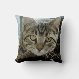 あなたのお気に入りのなペット写真r1の枕を加えて下さい クッション