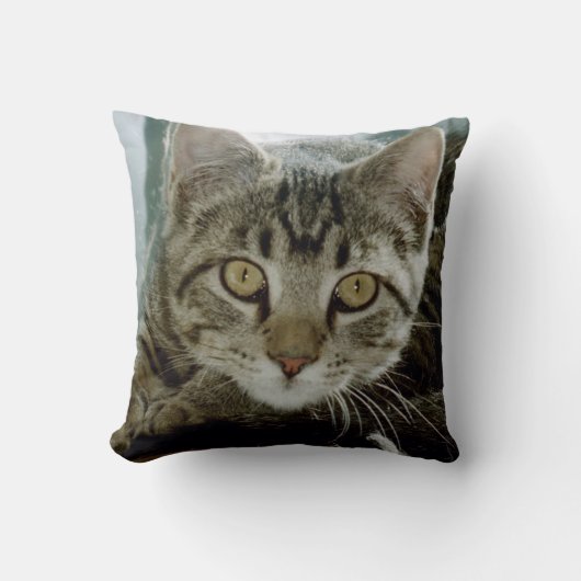 あなたのお気に入りのなペット写真r1の枕を加えて下さい クッション (正面)