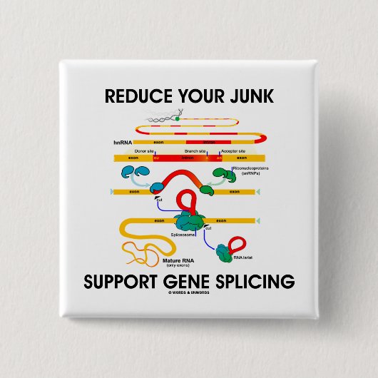 あなたのがらくたサポート遺伝子の接続を減らして下さい(RNAのユーモア) 缶バッジ (正面)