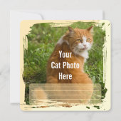 あなたのことは猫が正しく見抜いていた－猫好きのためのクッション カード (裏面)