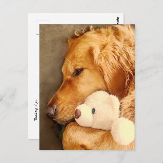 あなたのことを想う かわいい 悲しい ゴールデンレトリバー 犬 ペット ポストカード (正面/裏面)