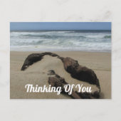 あなたのことを想って サンド ドリフトウッド ビーチ 気をつけて ポストカード (正面)