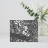 あなたのこと考えてる ポストカード (スタンド正面)