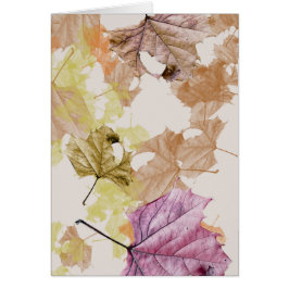 あなたのために落ちる"紅葉"…挨拶状