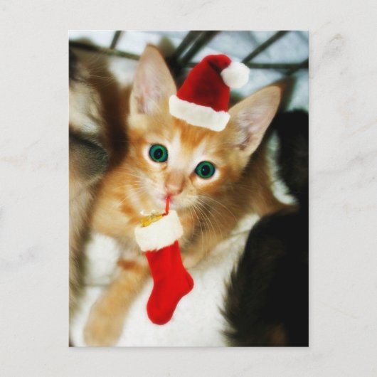 あなたのためのギフト ポストカード (正面)