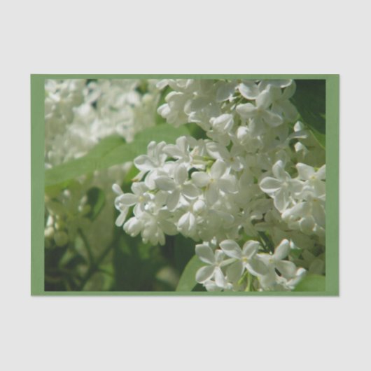 あなたのためのティッシュペーパー特別なギフト 薄葉紙 (正面)