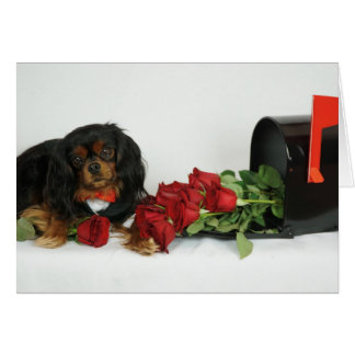 あなたのためのバラ