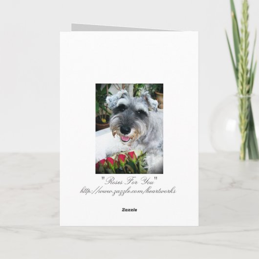 あなたのためのバラ-ありがとう サンキューカード (裏面)