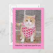 あなたのための目だけを持って下さい シーズンポストカード (正面/裏面)