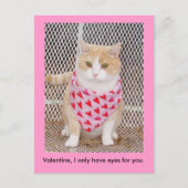 あなたのための目だけを持って下さい シーズンポストカード (正面)