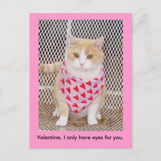 あなたのための目だけを持って下さい シーズンポストカード (正面)