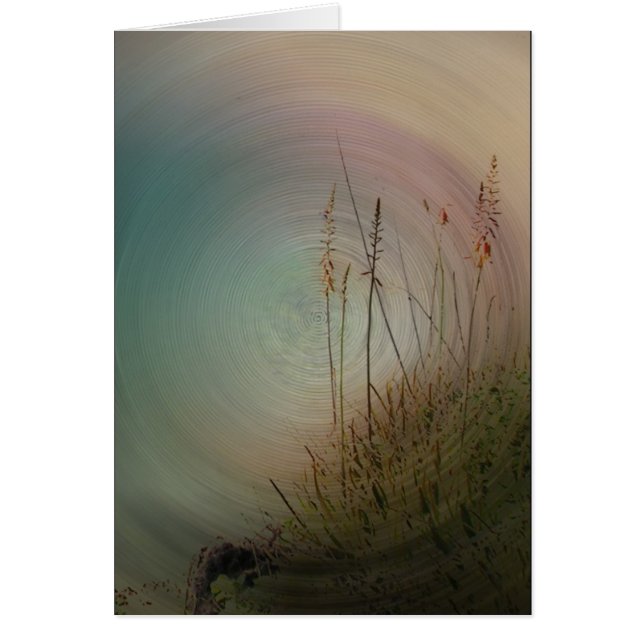 あなたのための私の愛 (正面)