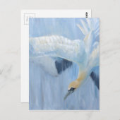 あなたのためのGannetsの潜水のユニークなギフト ポストカード (正面/裏面)