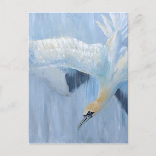 あなたのためのGannetsの潜水のユニークなギフト ポストカード (正面)