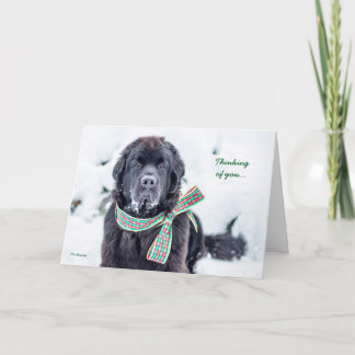 あなたのためのNewfieの休日の願い シーズンカード