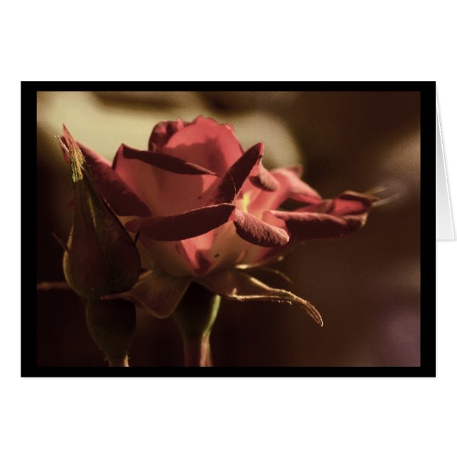 あなたのため (正面横)