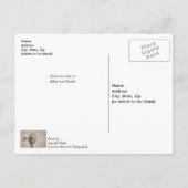 あなたのはがきの風車セピアの考えホイール ポストカード (裏面)