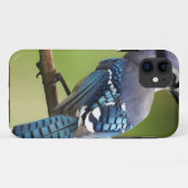 あなたのアオカケスの考えること友人家族のお母さんのパパ Case-Mate iPhoneケース (裏面(横))