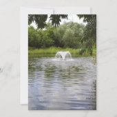 あなたのイベントへの参加を促すオープンハートのご招待 招待状 (正面)