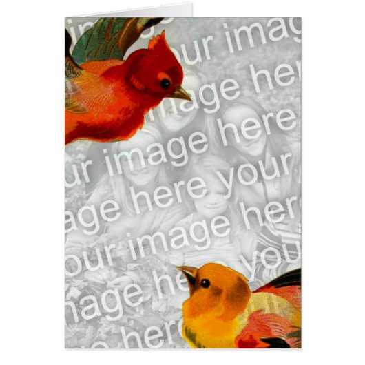 あなたのイメージをここで鳥 (正面)