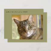 あなたのカスタム写真 想いやりテンプレートを追加 ポストカード (正面/裏面)