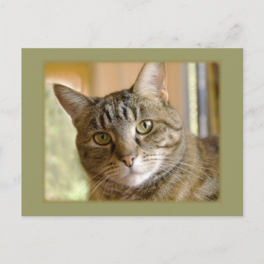 あなたのカスタム写真 想いやりテンプレートを追加 ポストカード (正面)