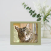 あなたのカスタム写真 想いやりテンプレートを追加 ポストカード (スタンド正面)