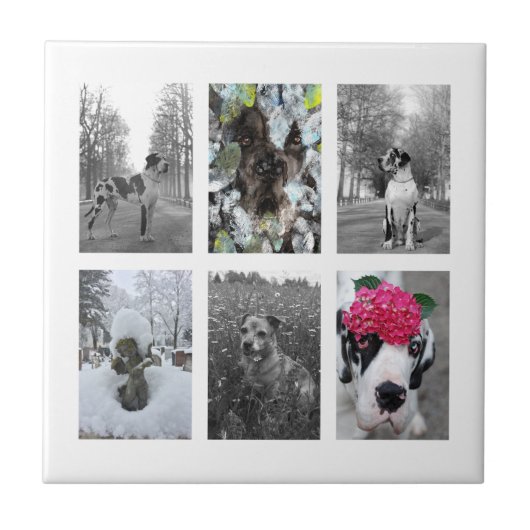 あなたのグレートデンを作ろう タイル (正面)