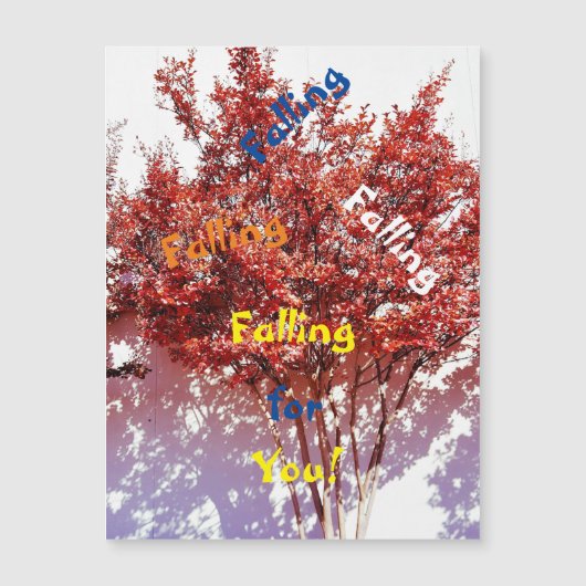 あなたのショットを誰にでも磁気グリーティングカードに撃つ (正面)