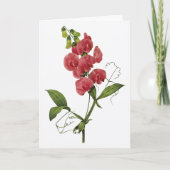 あなたのスイートピーの水彩画の考えることは梳きます カード (正面)