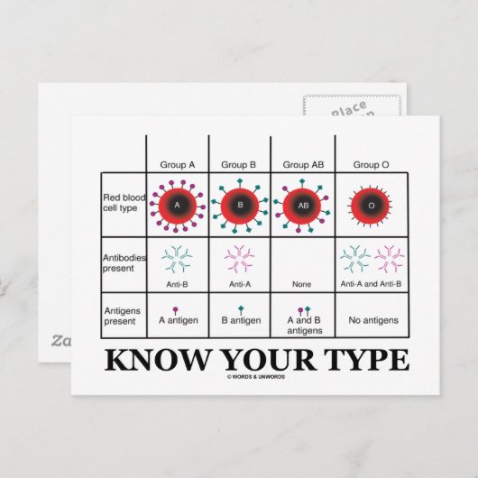 あなたのタイプを知る（血液型と健康） ポストカード (正面/裏面)