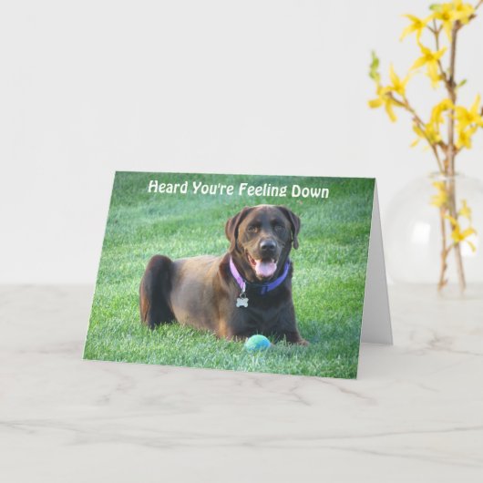 あなたのチョコレート実験室の考えることは梳きます! カード (黄色い花)