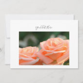 あなたのテキストクリームバラ花招待状 招待状 (正面)