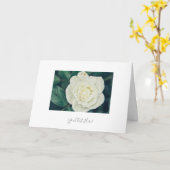 あなたのテキストゴージャスな白バラ花グリーティングカード カード (黄色い花)