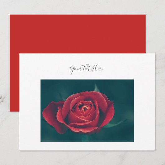 あなたのテキスト ゴージャスな赤いバラの花の招待状 招待状 (正面/裏面)