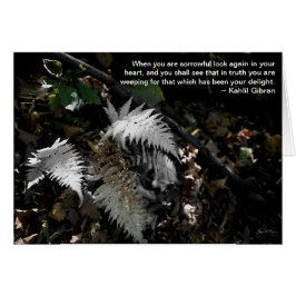 あなたのハートを再度見て下さい