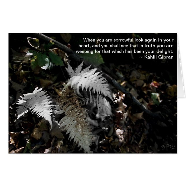 あなたのハートを再度見て下さい (正面横)