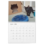 あなたのハートを溶かす – MEOW 2020 Kitten Calendar カレンダー (3月 2026)